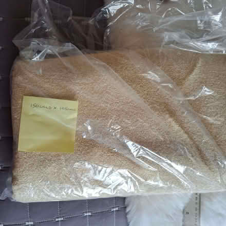 Photo of free Sand (pale gold) Chenille furnishing fabric (Charminster BH8) #2