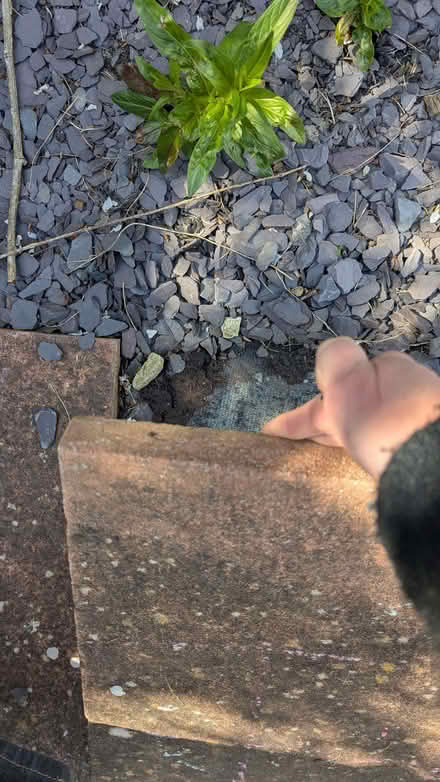 Photo of free Paving slabs (Hollingbury BN1) #4