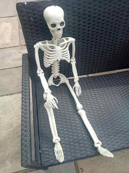 Photo of free Fully posable skelleton (MK42) #3