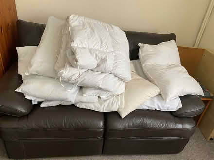 Photo of free Pillows and double duvet (Wormbridge HR2) #1
