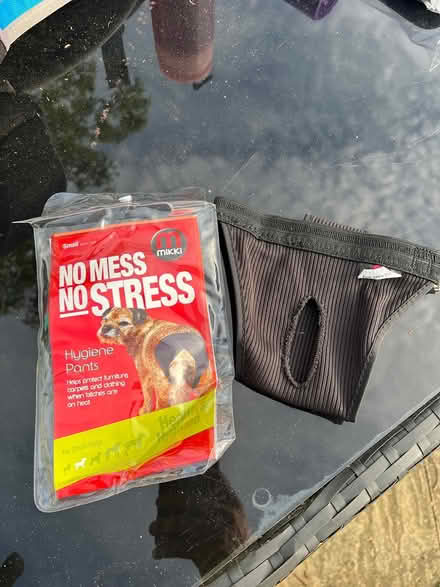 Photo of free Hygiene Pants For Female Dog (Swindon SN2) #2