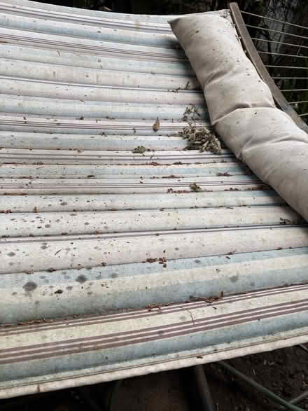 Photo of free Hammock (Fairfax, CA) #3