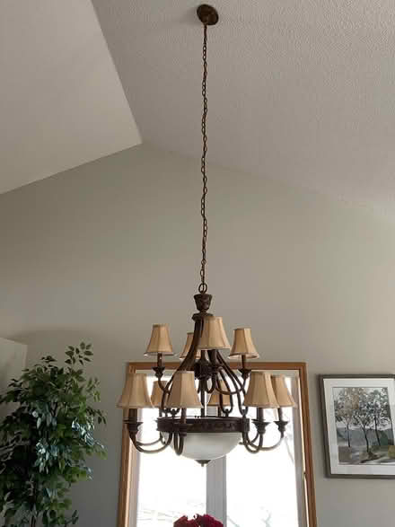 Photo of free Lighting (Savage - off CR 42 and CR 27) #4