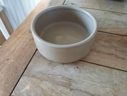 Photo of free Dog bowl (Crystal Palace) #1