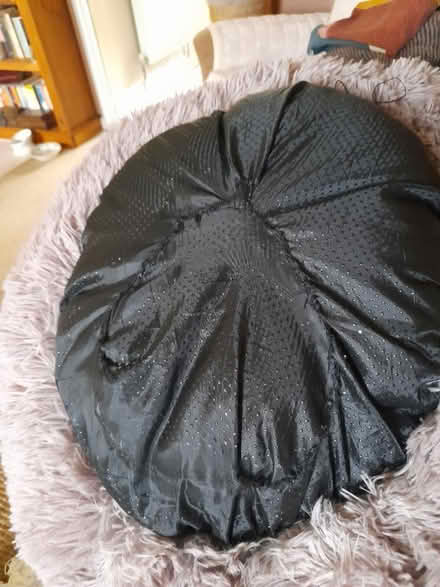 Photo of free Plush cat or small dog bed (Larkhall, Bath BA1) #2