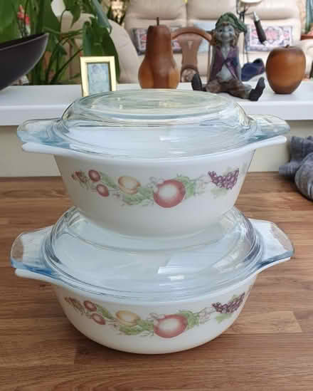 Photo of free Casserole dashes (Ivybridge PL21) #1