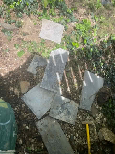 Photo of free Hardcore (Axminster Flax Meadow EX13) #2