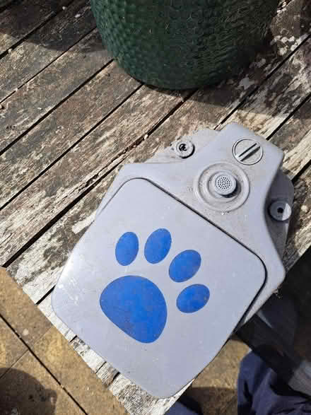 Photo of free Dog toy (High Town LU2) #1