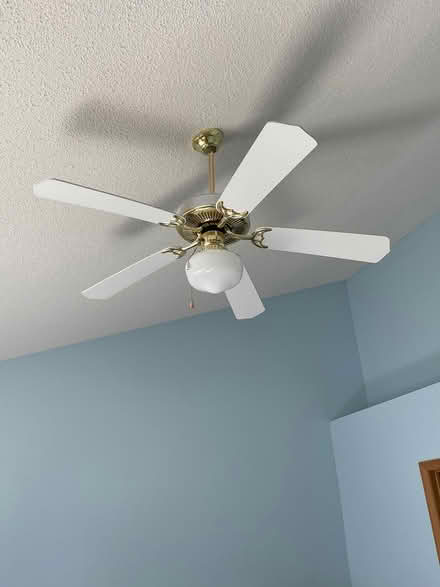 Photo of free Lighting (Savage - off CR 42 and CR 27) #3