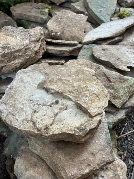 Photo of free Stones for Garden Rockery or Wall (Cheltenham, GL53) #3