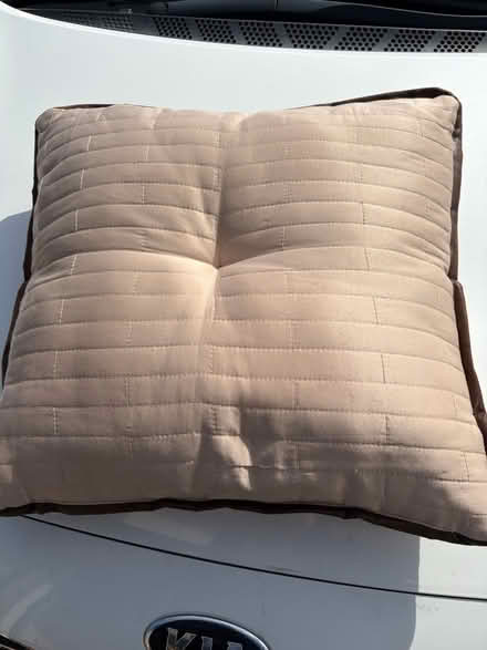 Photo of free cushions and pillows (G75 9PJ) #1