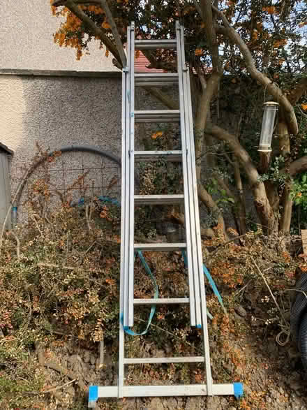 Photo of free Extendable ladder (Colinton EH13) #1