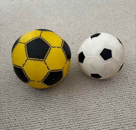 Photo of free Two small balls (Ware SG12) #1
