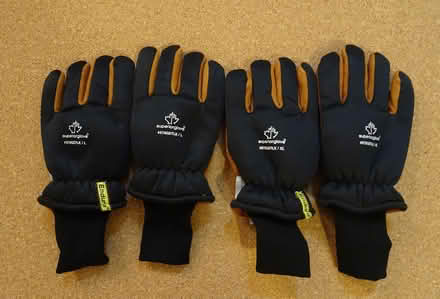 Photo of free Cold-weather work gloves (Lafayette, behind Diablo Foods) #1