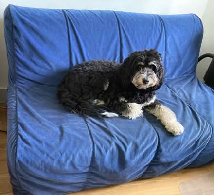 Photo of free IKEA Futon bed spring, mattress, and cover (Wimbledon SW19) #1