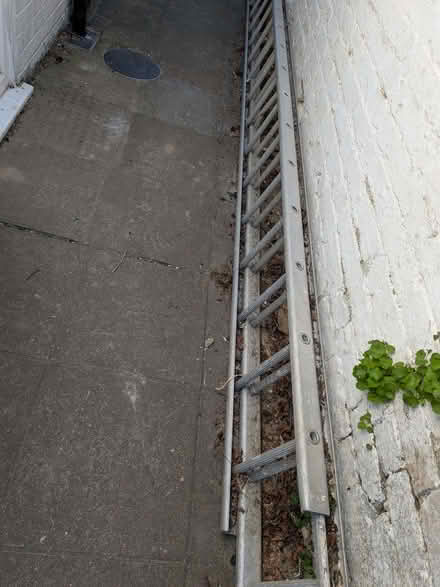 Photo of free Extendable ladder (Southborough TN4) #1