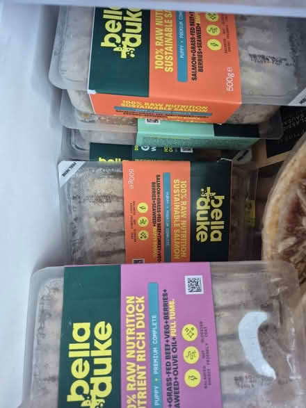 Photo of free 8 packs of bella and Duke dog food (CB23) #1