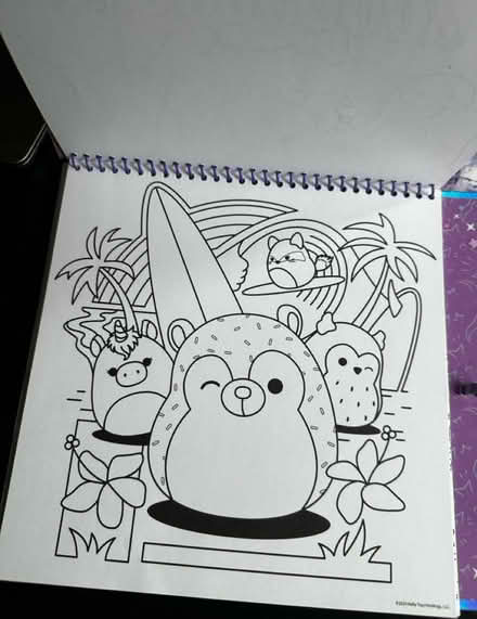 Photo of free Squishmallow activity book (School St, Belmont) #2