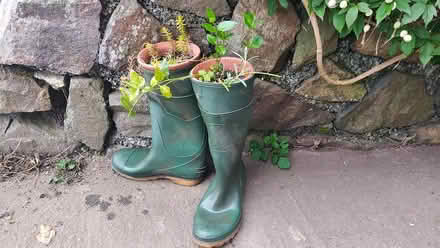 Photo of free Green wellies (west malvern) #1