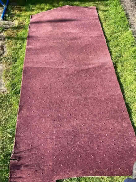 Photo of free Carpet offcut (Greenhill S8) #1