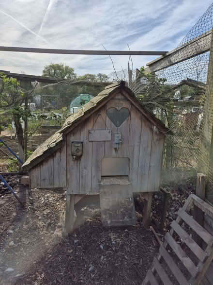 Photo of free Chicken coop (Walkern SG2) #2