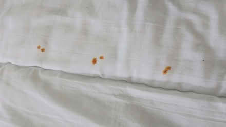 Photo of free Duvet ,10tog (Langley Park DH7) #1