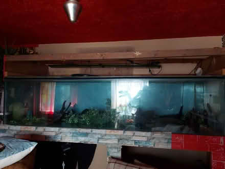 Photo of free 8ft fish tank (Redditch B98) #2