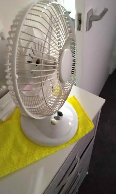 Photo of free Desktop fan (Spondon derby) #1