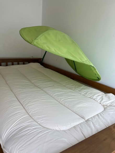 Photo of free Large sheltering leaf for children’s bed (Caldecott OX14) #3