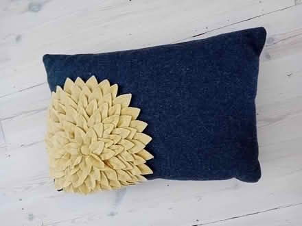 Photo of free Cushion (Eastbourne BN20) #1