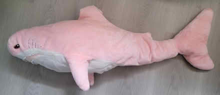 Photo of free Medium size shark plush (Broadview/Gerrard) #4