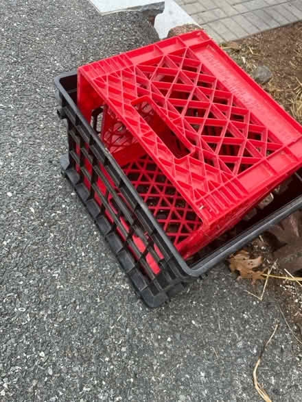 Photo of free Milk crates (North Waltham) #1