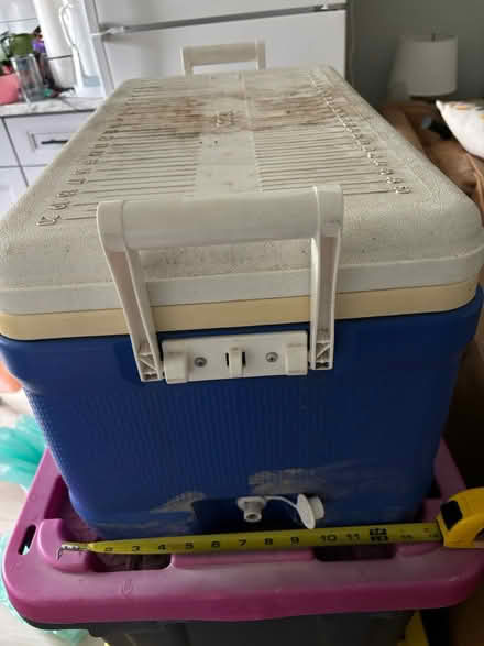 Photo of free Igloo Ice chest (Bella Vista) #2