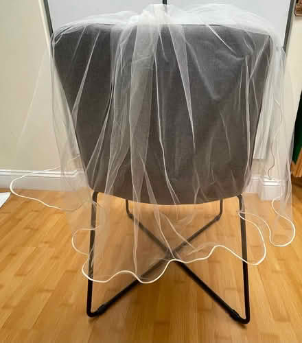 Photo of free Single layer veil (Sunnyvale (Wolfe)) #2