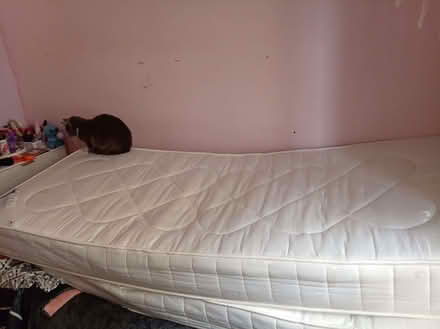 Photo of free 2 smaller than single mattresses (Penrith CA11) #1