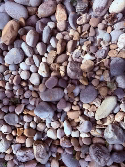 Photo of free Garden Stones (Ashingdon Rochford SS4) #1