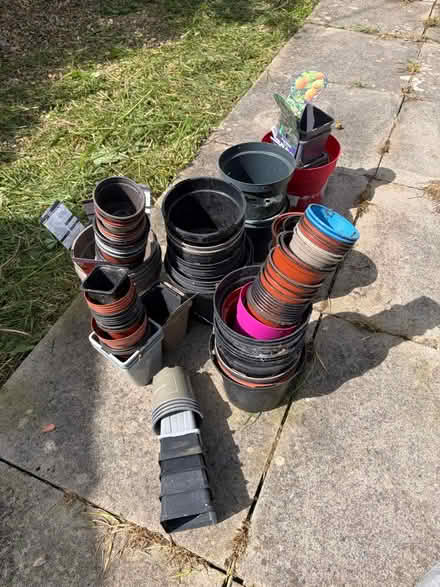 Photo of free Assortment of plant pots (Sutton Benger SN15) #1