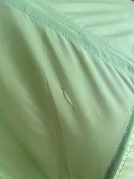 Photo of free Large sheltering leaf for children’s bed (Caldecott OX14) #2