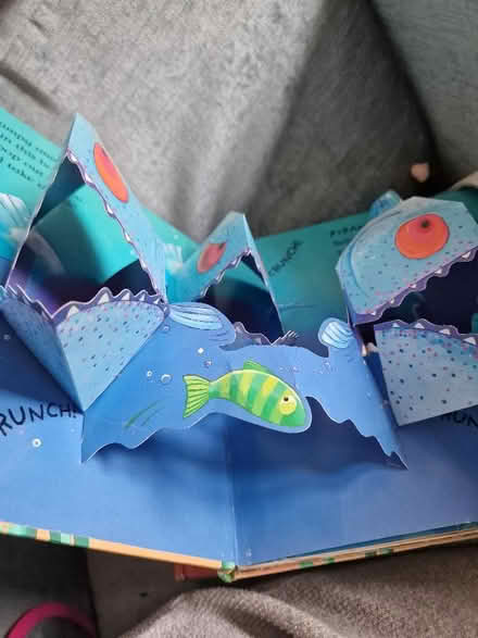 Photo of free 6 peek a boo pop up books (Endmoor LA8) #2