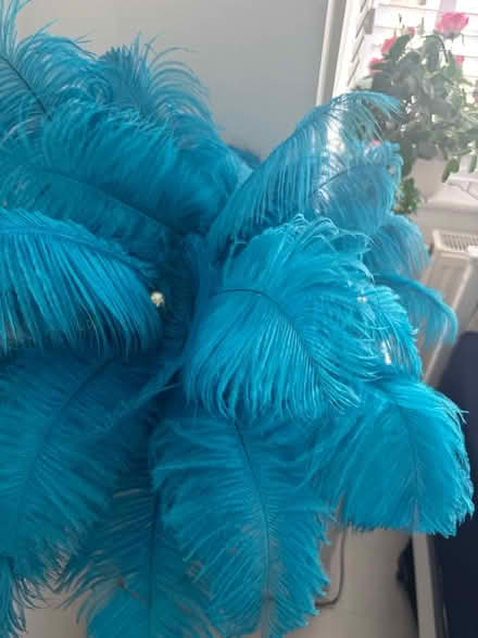 Photo of free lamp with turquoise feathers (Bexleyheath DA7) #1