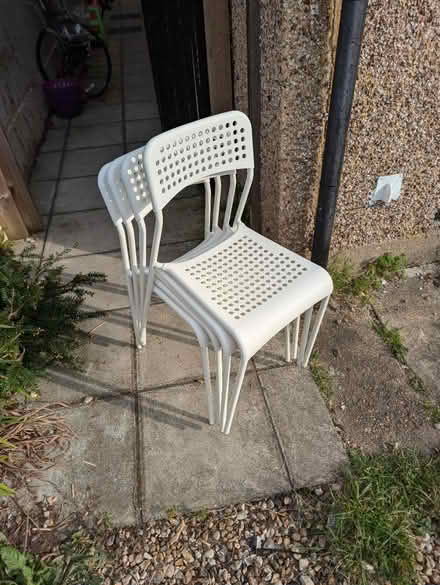 Photo of free 4 Plastic chairs (BR2) #2