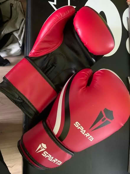 Photo of free Punch Bag and Gloves (Churchdown GL3) #2