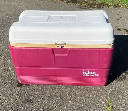 Photo of free 54qt Igloo Cooler (Ridgefield, CT) #1