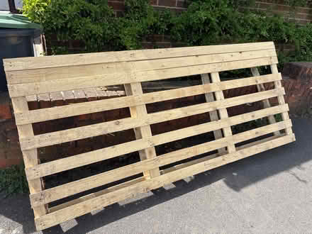 Photo of free Pallet (Waterlooville PO8) #1