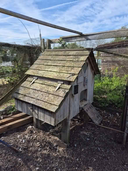 Photo of free Chicken coop (Walkern SG2) #1