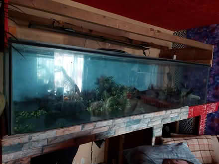 Photo of free 8ft fish tank (Redditch B98) #1