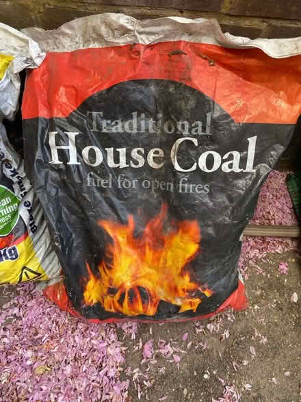 Photo of free Coal / smokeless coal / kindling (SW2 - Brixton) #3