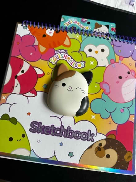 Photo of free Squishmallow activity book (School St, Belmont) #1