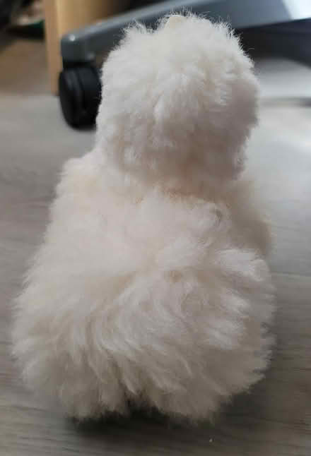 Photo of free Alpaca wool figure (Broadview/Gerrard) #4
