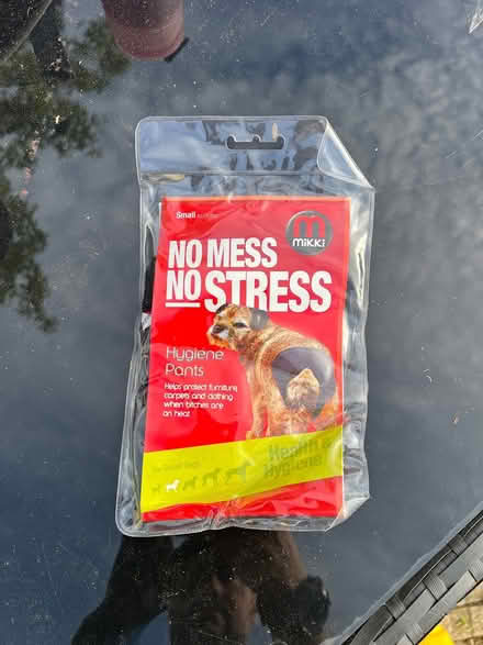 Photo of free Hygiene Pants For Female Dog (Swindon SN2) #1